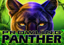 Prowling Panther Slot